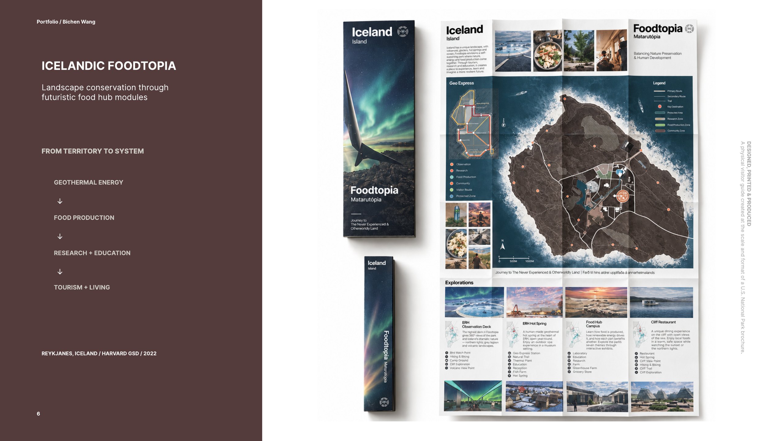 Icelandic Foodtopia printed field guide and project overview