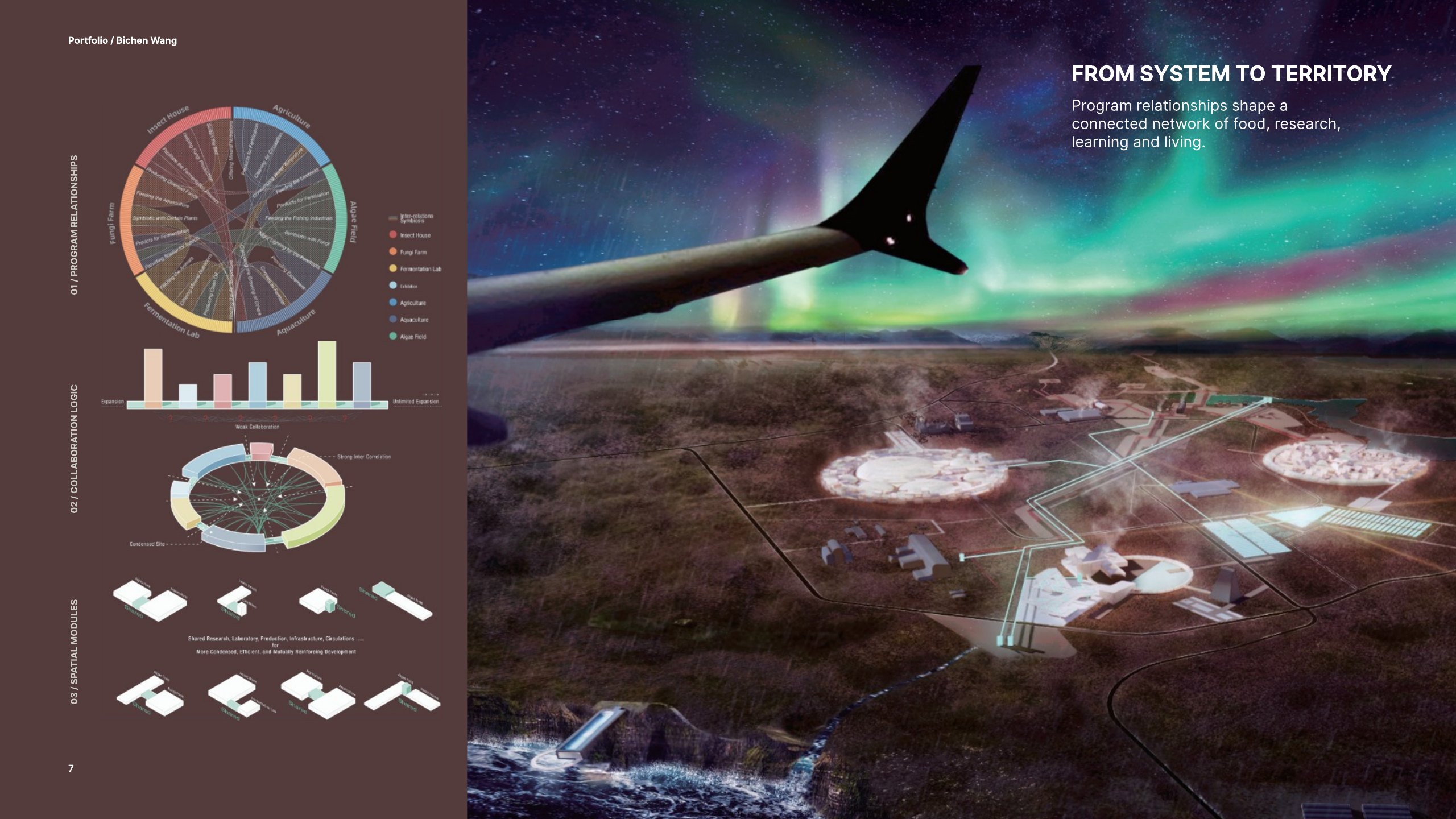 Icelandic Foodtopia territorial design under the aurora